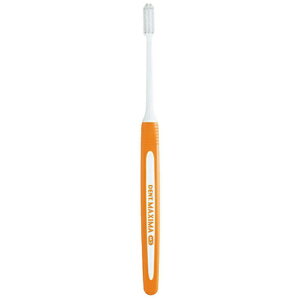 LIONbCI DENT.MAXIMA(fg }LV}) uV S