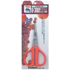 ߐbCHIKAMASA B-300S XeԂǂ ^ BP