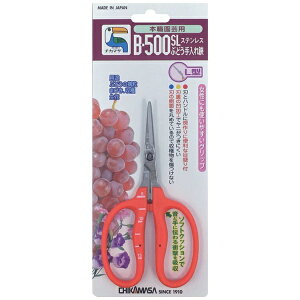 ߐbCHIKAMASA B-500SL XeԂǂL^ BP