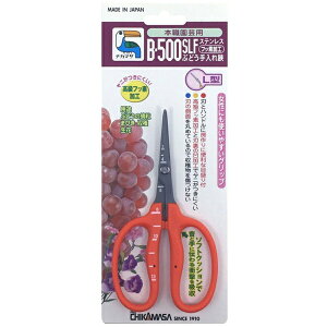 �ߐ��bCHIKAMASA B-500SLF �X�e���t�b�f�Ԃǂ���L�^ BP
