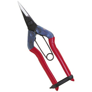 �ߐ��bCHIKAMASA T-500 �E���� �뒼�n �ܓ�