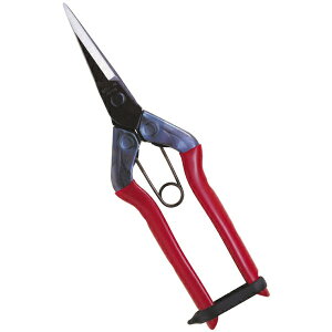 �ߐ��bCHIKAMASA T-550 ����� �뒼�n �ܓ�