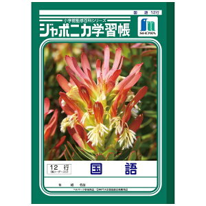 VEm[gbSHOWA NOTE W|jJwK m[g 12s JL-11 [Z~B5EB5 /12mm /cr]