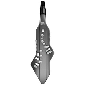 Rolandb[h fW^Ǌy Aerophone GO GAtH AE-05 ubN[AE05]