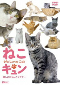 ハピネット｜Happinet シンフォレストDVD：ねこキュン 癒しのにゃんこシアター We Love Cat【DVD】 【代金引換配送不可】