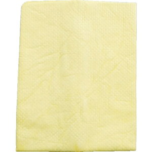 アイオン|AION AION 超吸水セーム 911−Y