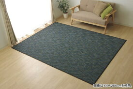イケヒコ｜IKEHIKO ラグ カーペット 無地 シンプル バンブー 竹 『DXフォース』(190×250cm/ブラック)