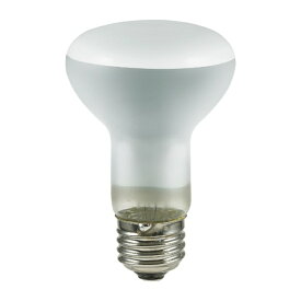 ELPA｜エルパ 長寿命レフランプ［口金E26 /40W］ ERF110V40W-L