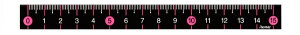 CCbRaymay Fujii kKl XJ[K 15cm sN AJR201P