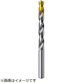 グーリングジャパン｜GUHRING グーリング　ハイスストレートドリル　レギュラー　タイプN　8．4mm