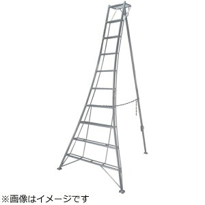 sJR[|CVbPica sJ@OrrGMF^ y[J[EsEԎwEԕisz