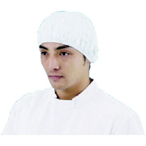 ���E�f���|�� �t���b�V���X�p�� �v���_�N�c�bDuPont-Asahi Flash Spun Products �f���|��(TM) �^�C�x�b�N(R)���L���b�v �� 10����