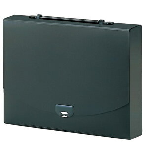 ZLZCbSEKISEI 2EFCP[X胏Ch A4 playing(vCO) ubN AP-956-60