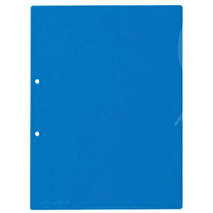 ZLZCbSEKISEI tB@A4 F10 Actif (ANeBt) Rogu[ ACT-3905-14