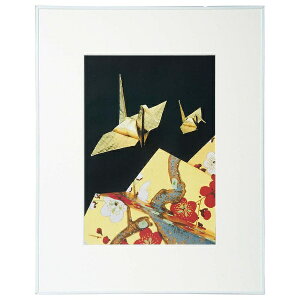 yGg[ōőSz|CgҌb11/5z PR[EgLi[bKenkoTokina L A3 AN AGR-A3-WH-AC zCg