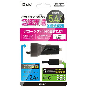 iJoVbNakabayashi DC - USB[d ^ubgEX}zΉ 5.4A [P[úFUSB-C /1|[gFUSB-An JYU-DCU01BK ubN