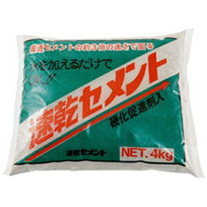 ƒ뉻wHƁbKateikagakukogyo Zg 4kg O[