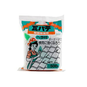 �ƒ뉻�w�H�ƁbKateikagakukogyo ���p�e �� 500g �w���t��