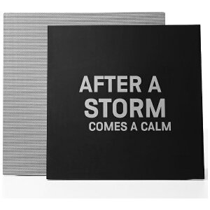 COTODAMA WiFiXs[J[ Lyric SpeakeribNXs[J[j LS2 [Wi-FiΉ]