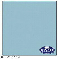 楽天市場】背景紙 2.7 サベージの通販