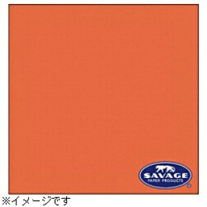 Tx[WbSAVAGE wi 2.72×11m^No.82 ^WF RL82-12