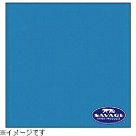 サベージ｜SAVAGE 背景紙 1.35×11m／No.83 ターコイズ RL83-1253