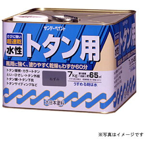 Tf[yCgbSUNDAY PAINT g^phA  7K