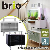 楽天市場】brio 水槽の通販