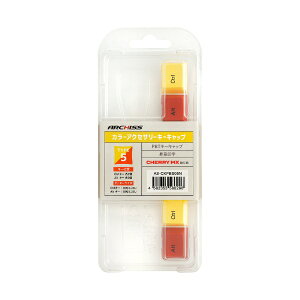 A[LXbARCHISS p PBTJ[ANZT[L[Lbv Ctrl/Alt ؈ 1.5mm ASCKPBS05N