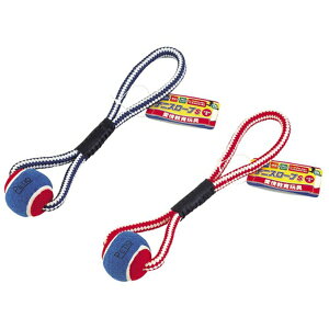 yeBIbPetio ߋ ejX[vS