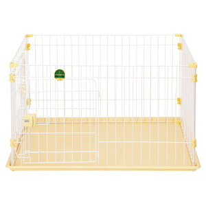 yGg[ōőSz|CgҌb11/5z yeBIbPetio 2hAps[T[N A22658