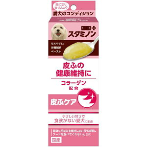 A[XEybgbearth pet `CXvXX^~m ӃPA 40g