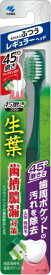 小林製薬｜Kobayashi 生葉 歯ブラシ 45°磨きブラシ レギュラー ふつう