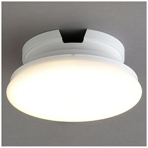 IRIS OHYAMAbACXI[} ^V[OCg@^@600lm@dF [dF /LED]ynewlife_campaign_gz