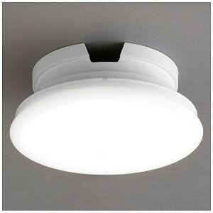 IRIS OHYAMA�b�A�C���X�I�[���} ���^�V�[�����O���C�g�@�����^�@600lm�@�����F [�����F /LED][SCL6NTH]