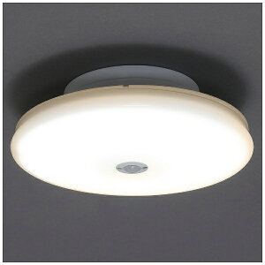 IRIS OHYAMA�b�A�C���X�I�[���} ���^�V�[�����O���C�g�@�����^�@1200lm�@�l���@�d���F [�d���F /LED][SCL12LMSTH]