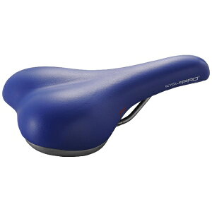 CYCLEPRObTCNv GELTh ]ԃTh(480g/u[j CPSD3110