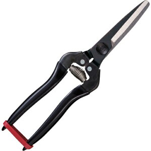 AXR[|[VbARS AX@H@pr KG-300LW-BP