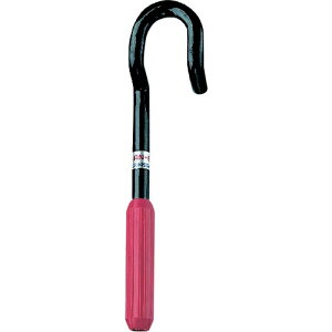 SANEIbTGC SANEI@` PR36