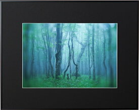 【エントリーで最大2万ポイント当たる｜1/20まで】 ケンコー・トキナー｜KenkoTokina ギャラリー ワイド四切 ブラック AGY-W4-BK AGY-W4-BK