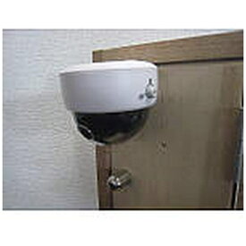 大進｜DAISHIN ドアの番人 ホワイト DLB-400 [白色 /乾電池式]