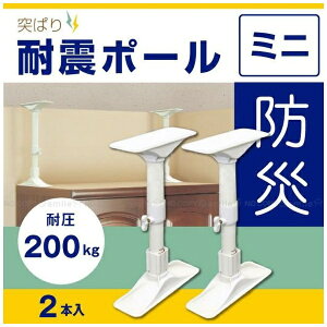 LHƁbHEIAN SHINDO ϐk|[~j