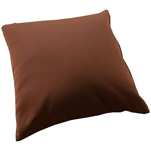 �����V���R�[���bTOKYO SINCOL �r�[�Y�N�b�V����45X45 SM BR