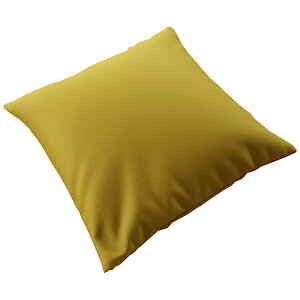 �����V���R�[���bTOKYO SINCOL �r�[�Y�N�b�V����45X45 SM GR