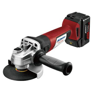 AC DELCObG[V[fR ARG2019-100 dfBXNuC_[ 100m