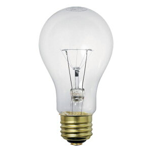 ELPAbGp EVP110V100WA60C d@ϐk NA [E26 /ʓd` /1 /S^Cv]