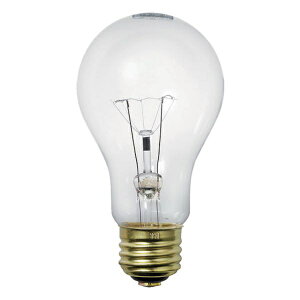 ELPAbGp EVP110V60WA60C d@ϐk NA [E26 /ʓd` /1 /S^Cv]