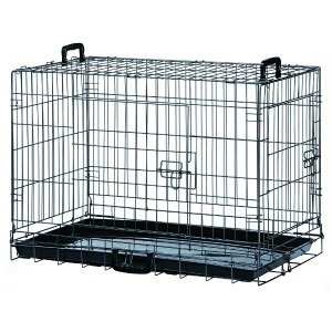 }JbMarukan Group RpNgP[W@L DP-442