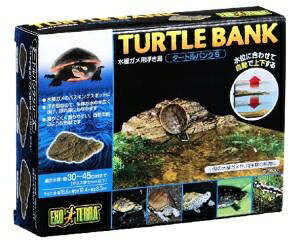 WFbNXbGEX ^[goN (S) [ybgpi]