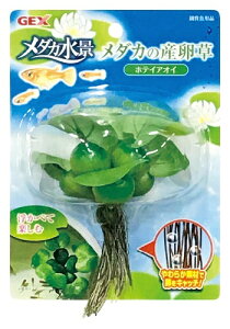 WFbNXbGEX _J̎Y zeCAIC [ybgpi]